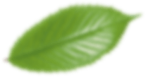 layer-4-slider1